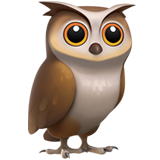 Squawk Owl Logo